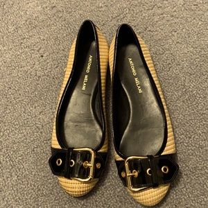 Antonio Melani Flats